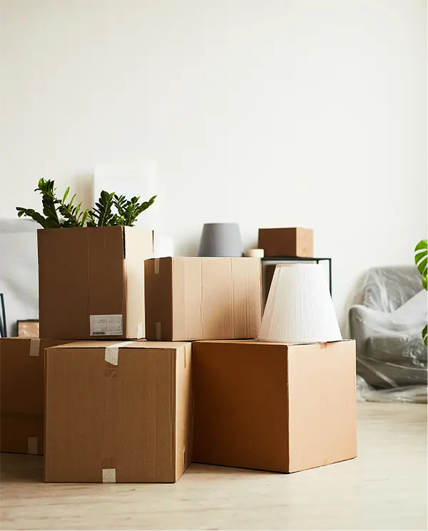 Move-in and move-out cleaning service
